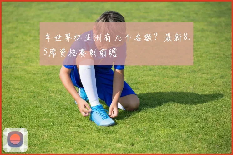 年世界杯亚洲有几个名额?最新8.5席资格赛制前瞻
